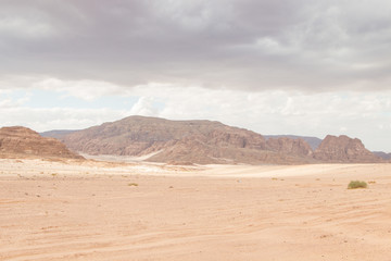Fototapeta na wymiar Desert, red mountains, rocks and cloudy sky. Egypt, color canyon.