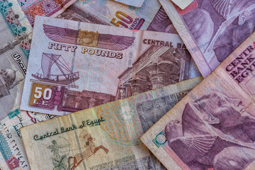 Heap of the different egyptian banknotes for background