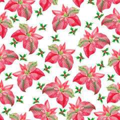 Watercolor seamless pattern with poinsettias and holly isolated on a white background. Watercolor Christmas background is suitable for festive printing, fabrics, scrapbooking, cards.