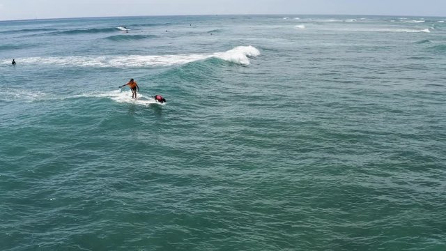 Young guy surfing with is dog in Hawaii