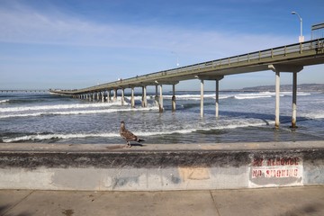 Fototapeta na wymiar High Tide at Ocean Beach Pier in San Diego