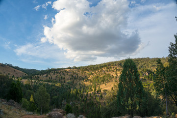 Nature landscape of beautiful hills covered with trees