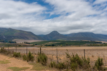 Fototapeta premium Countryside rural landscape with dry crop on a field. Drought disaster farmland