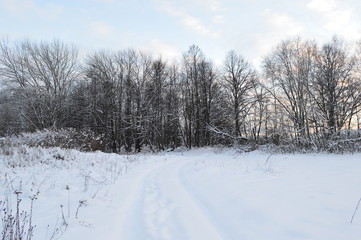 Fototapeta na wymiar winter in russia