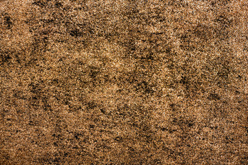 Brown Grungy Dirty Rug Carpet