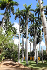 Palma Real © Bildkind