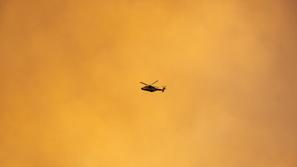 Fototapeta na wymiar Currowan Bushfire NSW South Coast 2019