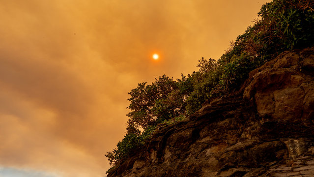 Currowan Bushfire NSW South Coast 2019