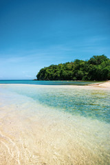 beach and tropical sea in Jamaica