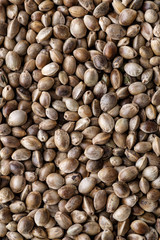  Many Cannabis seeds. Macro detail of marijuana seed. Organic Hemp seed. Hemp seeds background in macro.Medicinal cannabis with extract oil in a bottle