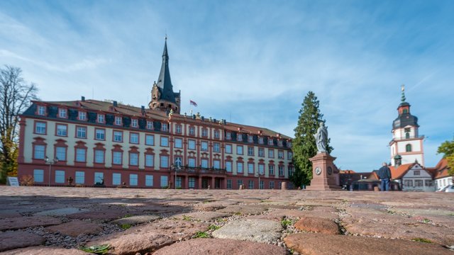 castle of Erbach