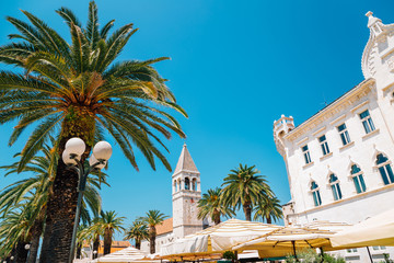 Trogir seaside street with tropical palm trees at summer in Trogir, Croatia