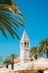 Fototapeta na wymiar Trogir seaside street with tropical palm trees at summer in Trogir, Croatia