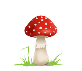 Pilz, Fliegenpilz als Glücksbringer, Vektor Illustration isoliert auf weißem Hintergrund