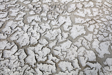 Parched soil in the wild