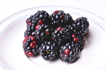 close up de blackberries 