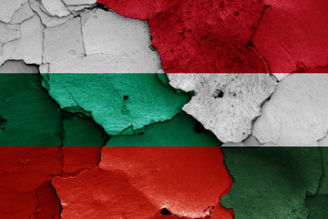 flags of Bulgaria and Hungary painted on cracked wall