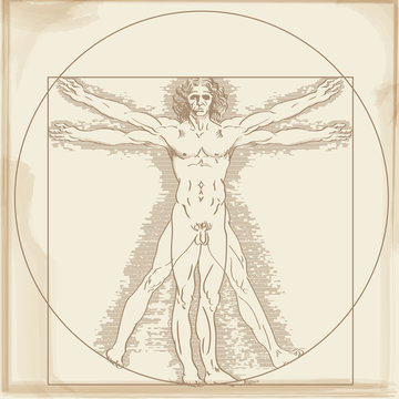 An illustration of a human figure drawn by Leonardo da Vinci. Beautiful proportions, Vitruvian human figure.
