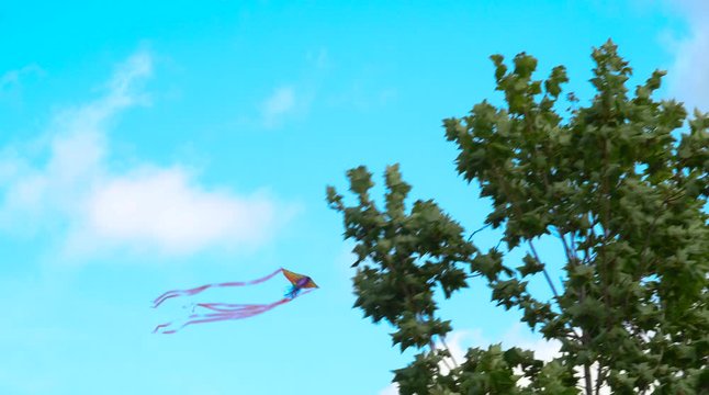 Cinematic gimbal shot looking up towards a small flying kite during a summer day