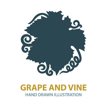 Grape leaf and vine hand drawn illustration. Grape leaf silhouette. Wine theme design template. Part of set. 