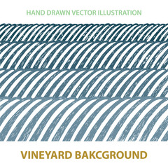 Valley. Vineyard and sunny valley hand drawn illustration. Nature and meadows. Vineyard woodcut style sketch drawing. Landscape abstract background.