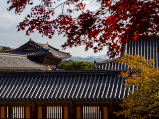 Fototapeta na wymiar Korean temple in Korea