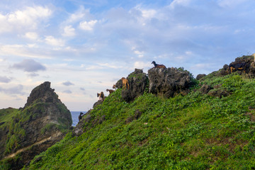 Amazing landscape partial part of Batanes Island located in Philippines.. Image shot by drone.