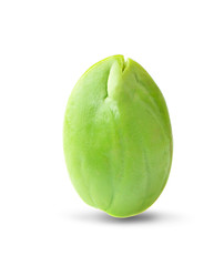 Bitter bean an isolated on white background