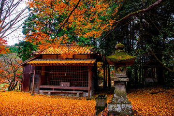 佐田神社の紅葉