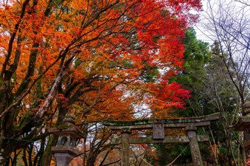 佐田神社の紅葉