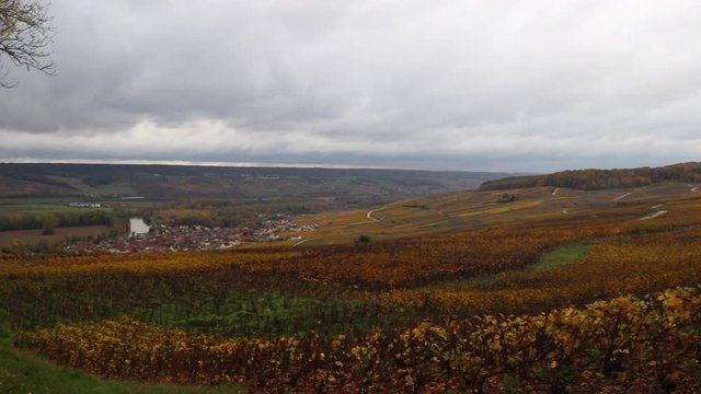 Panoramic view of vineyards in the Champagne Region close to Reims, France. 

Shot with the Canon 80d.