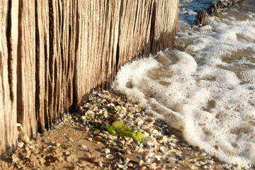Fototapeta premium waves crashing against an old timber beach wall wetting the sand and shells along the beach on a sunny summer day, coastal scenes and white crashing waves and textures
