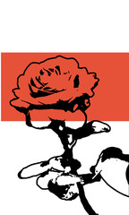 Light postcard with flower in vector