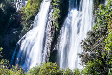 Obraz premium waterfall in forest