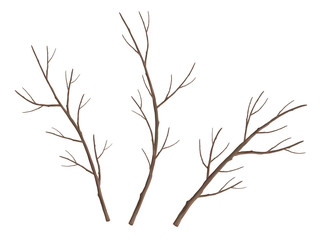 Set of Tree Branches