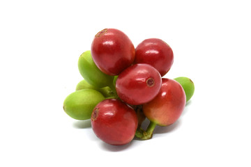 Coffee berry and leaves coffee on branch, White background.