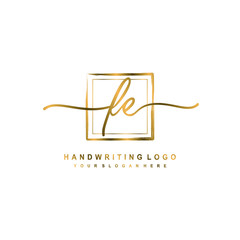 Initial F E handwriting logo design, with brush box lines gold color. handwritten logo for fashion, team, wedding, luxury logo.