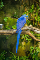 vancouver aquarium bird