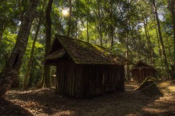 A hut in the forest covered with moss