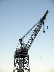 Fototapeta na wymiar Cargo Ship Crane Covered in birds at Dusk