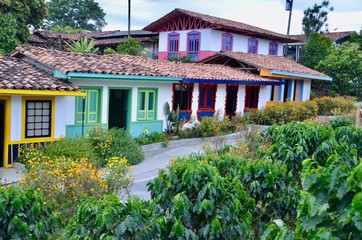 Fototapeta na wymiar Colourful coffee farm houses in Armenia, Quindio, Colombia