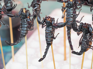 Fried scorpions on stick for sale in street food. Bangkok, Thailand. Skewered grilled black scorpions.