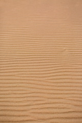Sand Dune texture background