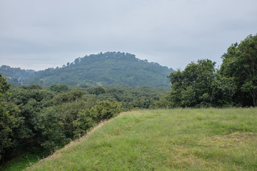 Paisaje desde la cima de la piramide en zona arqueologica Tingambato