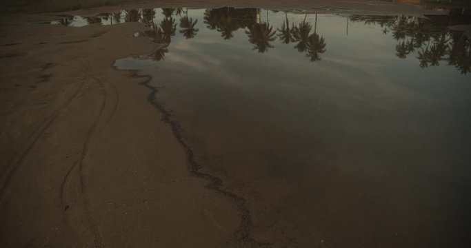 Reflections of coconut trees in the pool of sea water at the beach in Icacos Trinidad
