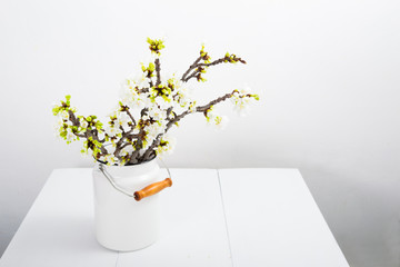 blossoming cherry flower branch at milk canister, white wood table