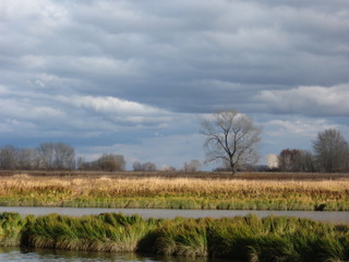 beautiful landscape with clouds above the water