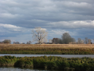beautiful landscape with clouds above the water