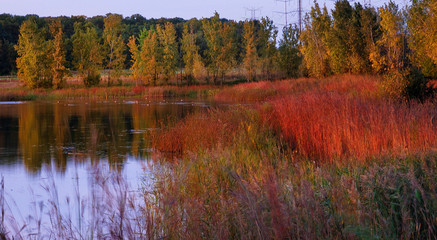 autumn landscape with lake and trees