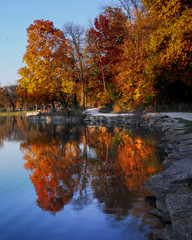autumn landscape with lake and trees